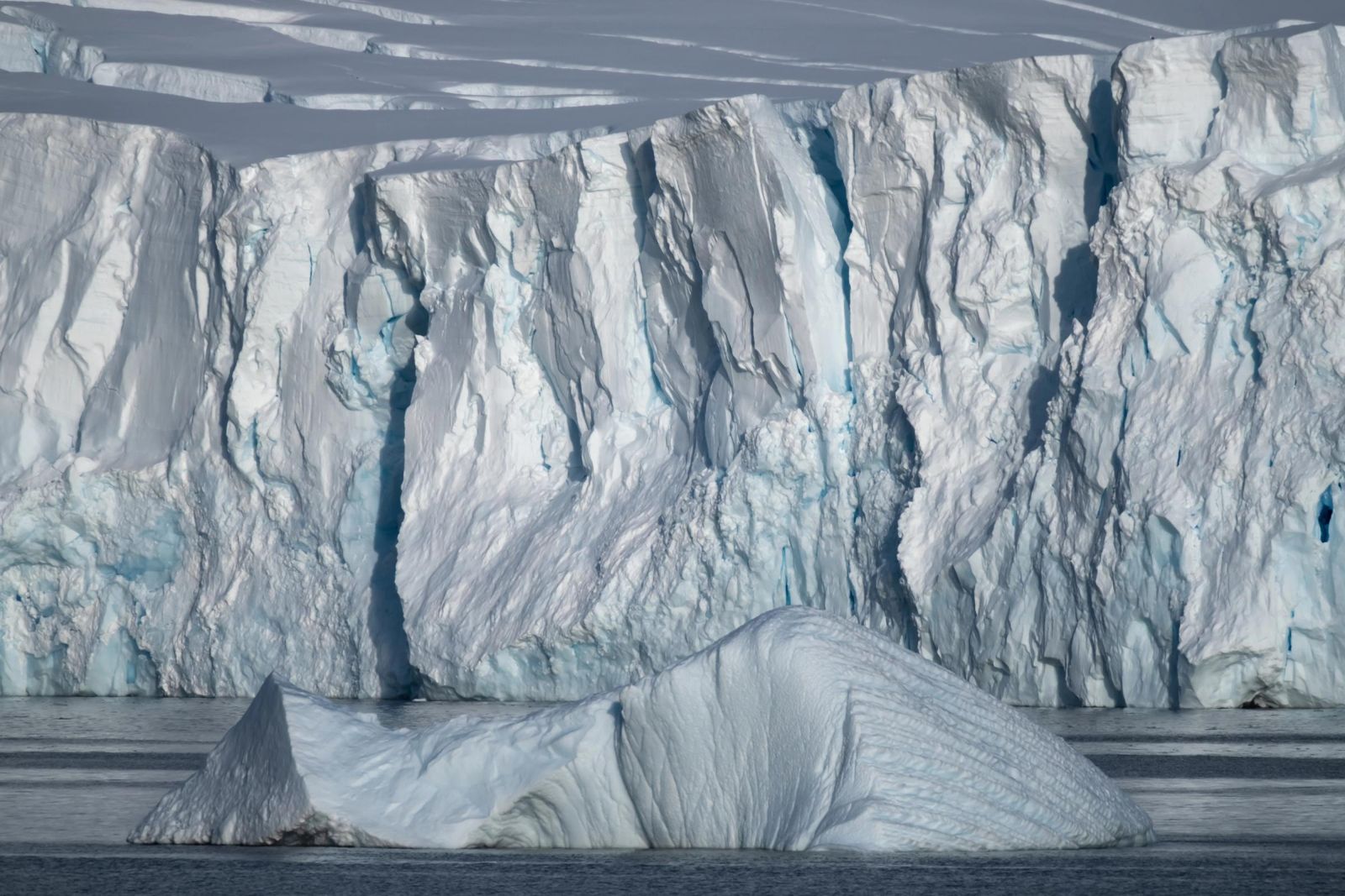 A glacier face on the Antarctic Peninsula