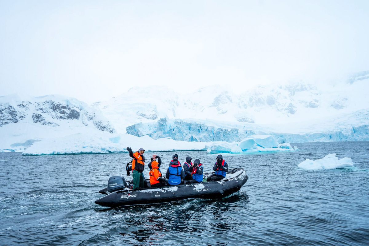 Zodiac Cruising on Aurora Expeditions