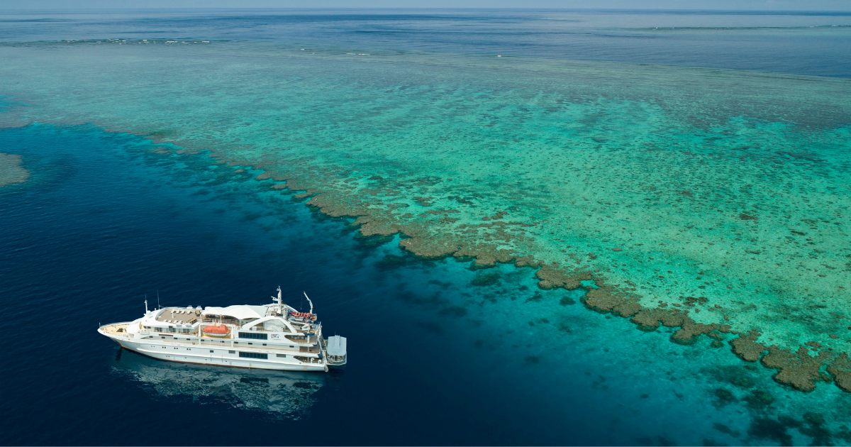 Coral Geographer