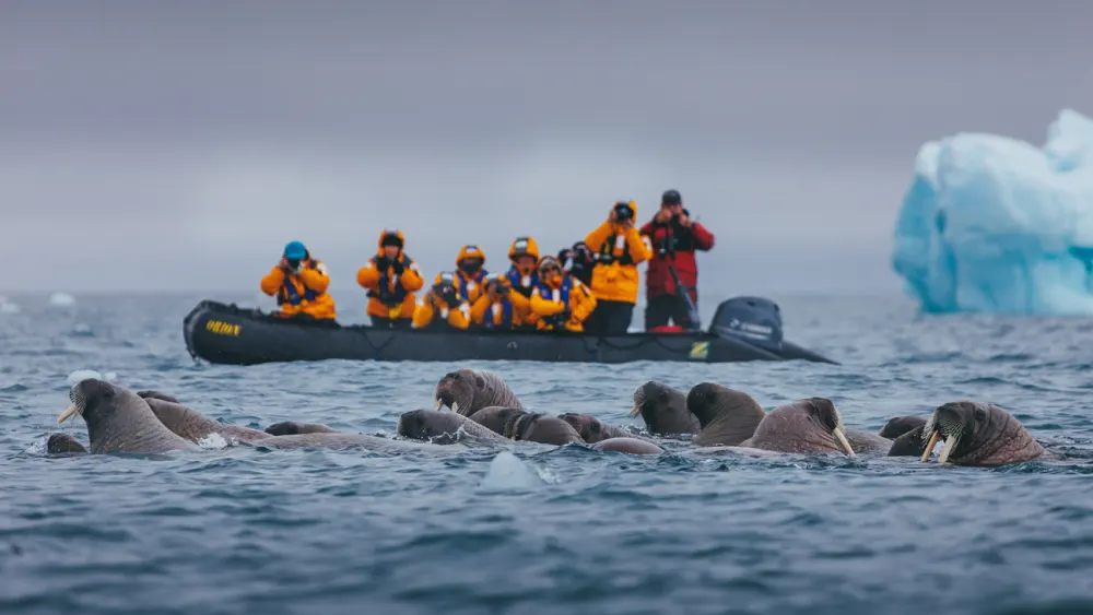 Zodiac Cruising on Quark Expeditions