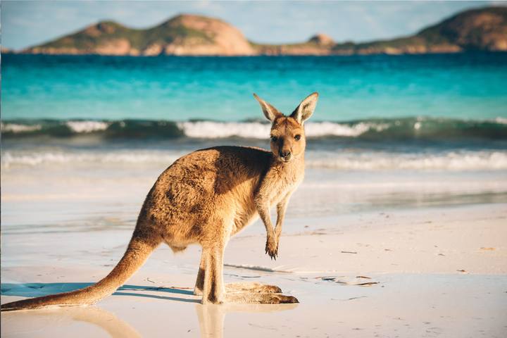 Esperance