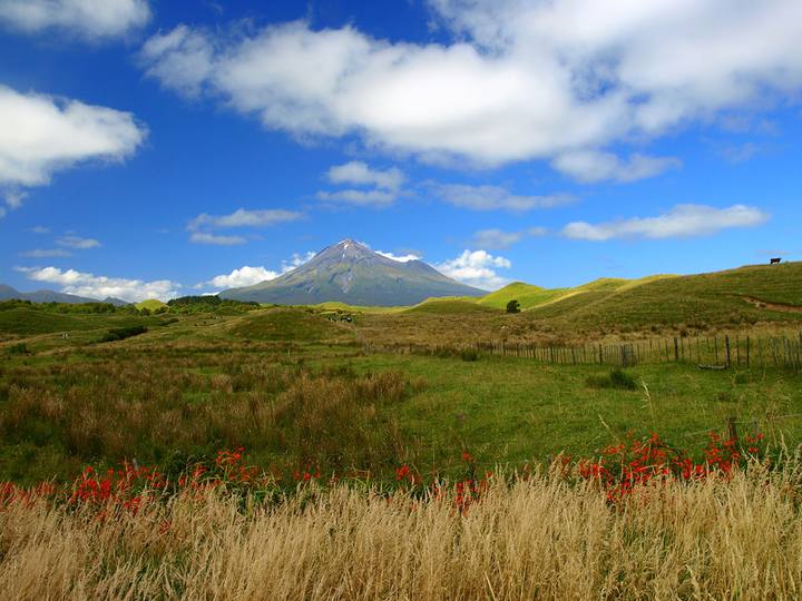 New Plymouth