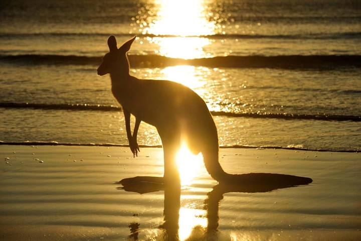 Kangaroo Island