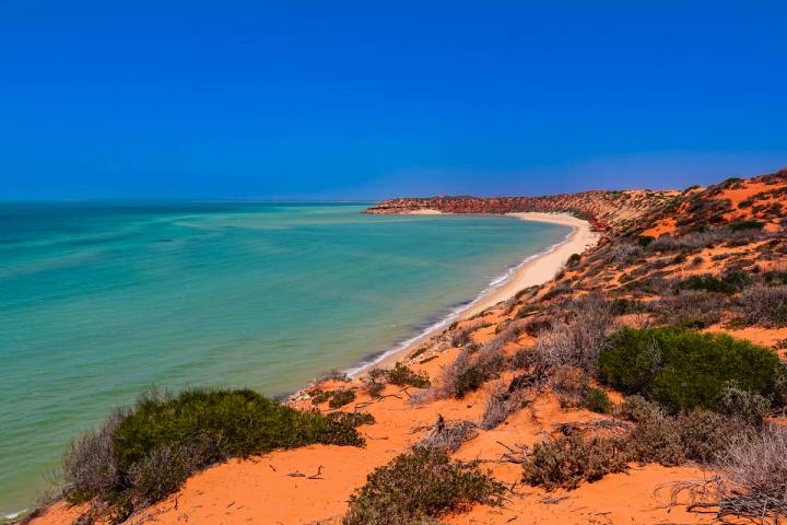 Shark Bay and Cape Peron