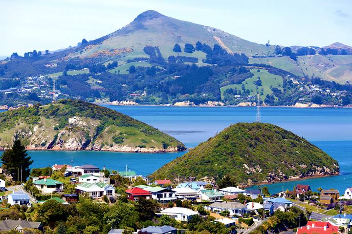 Dunedin