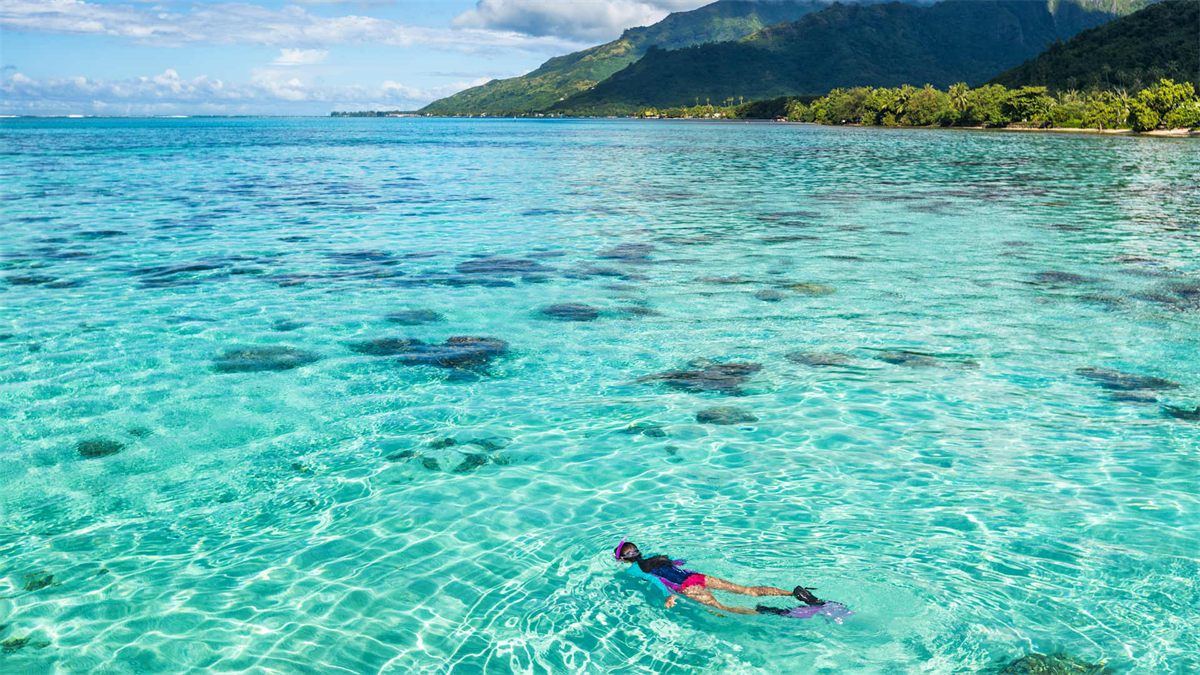 Snorkelling in French Polynesia on Windstar Cruises